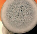 Rundgliederkette AH und ASH für Kratzförderer und Nassentascher – Bild 4