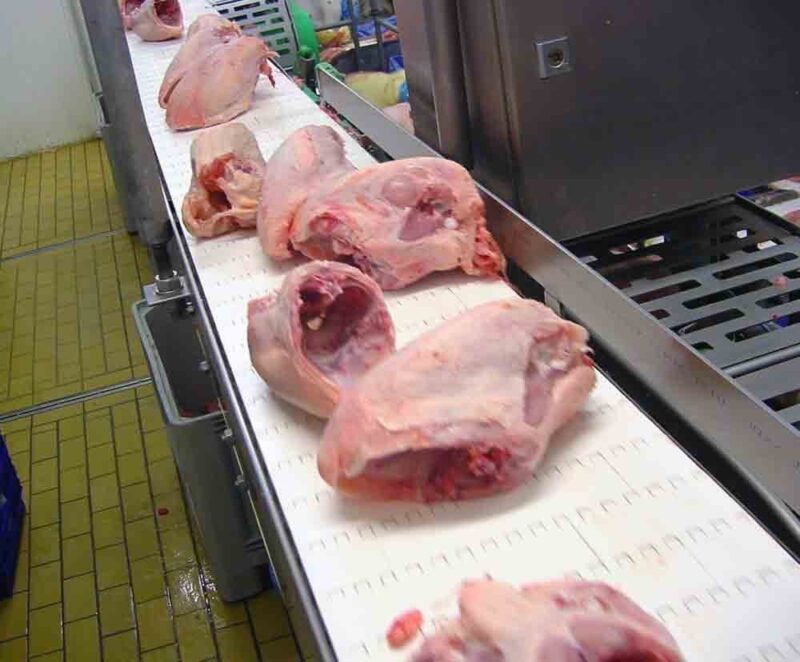 Modulbänder aus Kunststoff Serie B50 – Bild 9