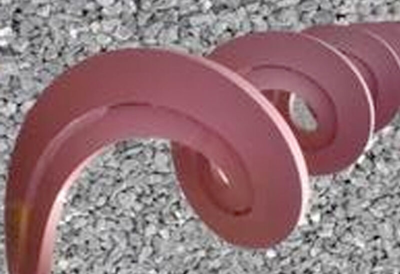 Wellenlose Schneckengewinde – Bild 14